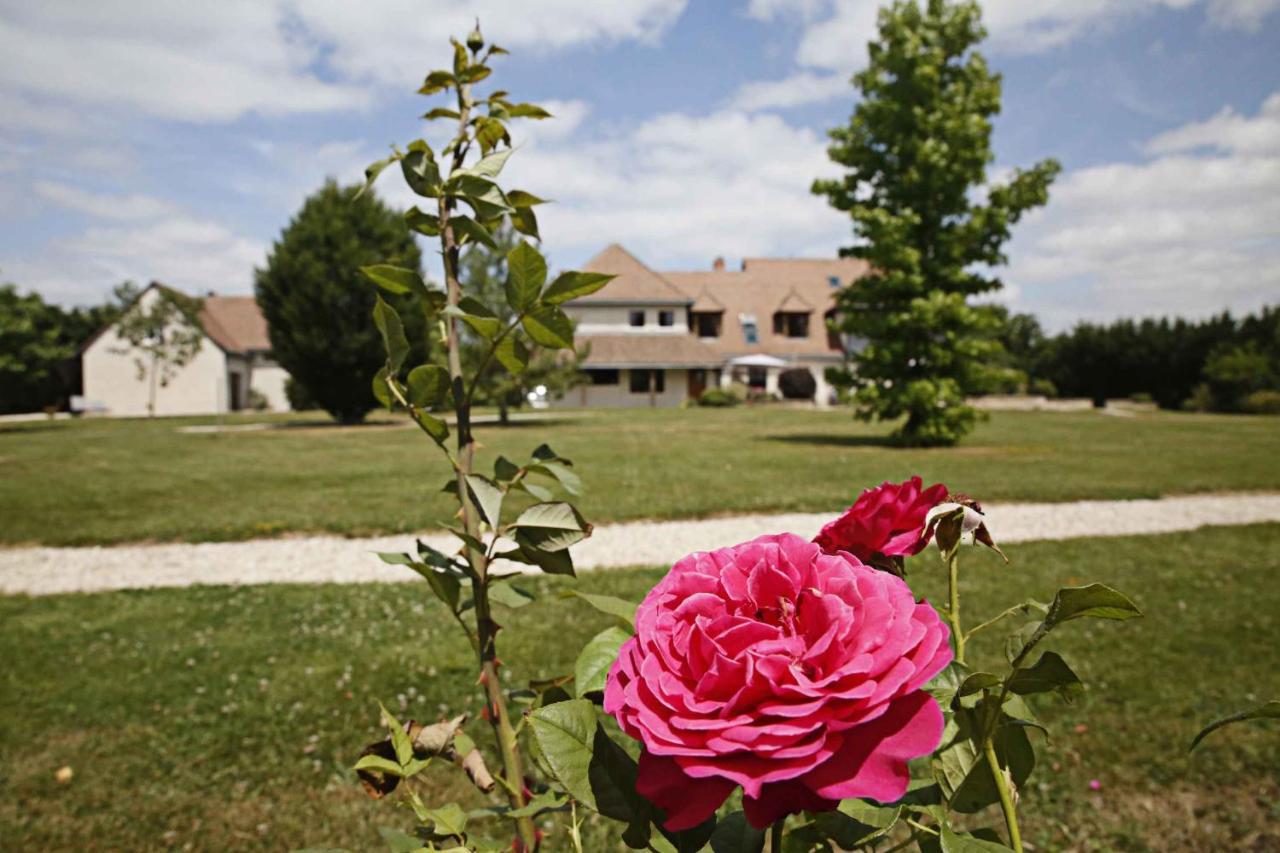 Le clos Léonard Amboise Extérieur photo